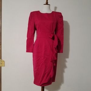 Bluebell Hot Pink Vintage Dress